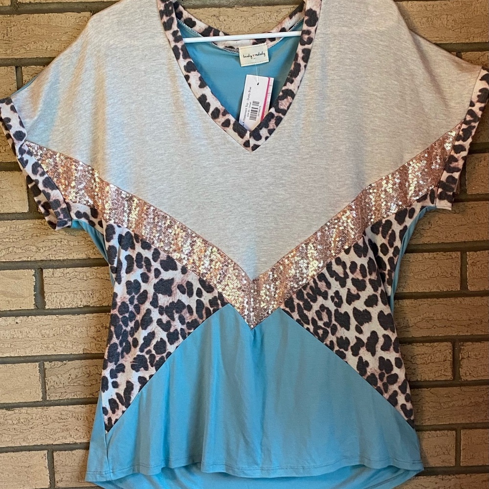 Lovely Melody Turquoise and Leopard top